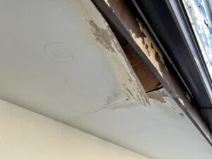外壁塗装のDIYはあり？ホームセンター補修の落とし穴とプロに頼む判断基準